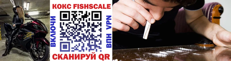 hydra ссылка  Ногинск  Cocaine Fish Scale  где продают  