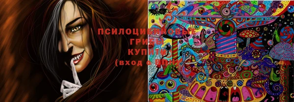 спайс Баксан