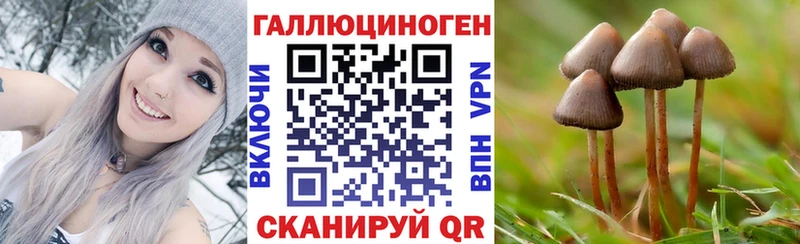 Галлюциногенные грибы Cubensis  Ногинск 